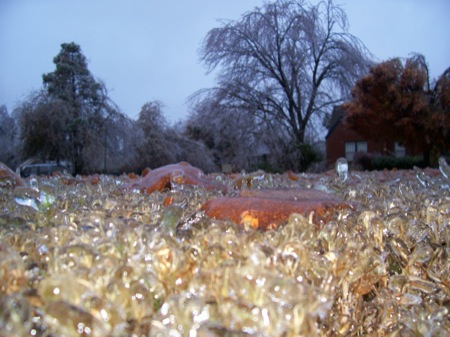 More glass grass